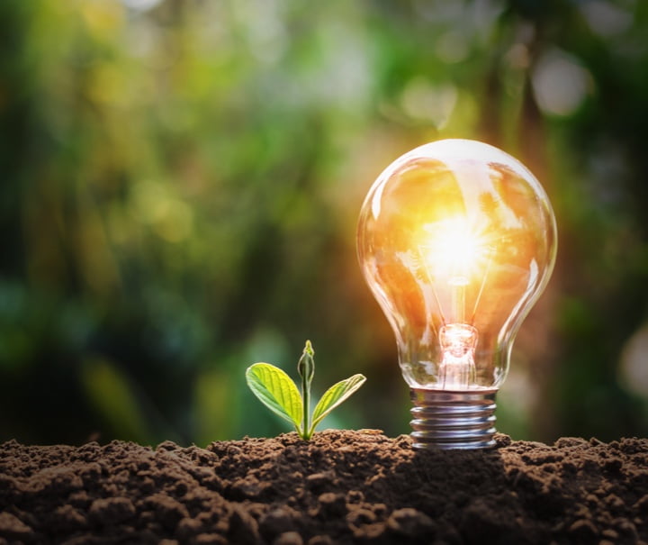 sustainability_meduim_image
