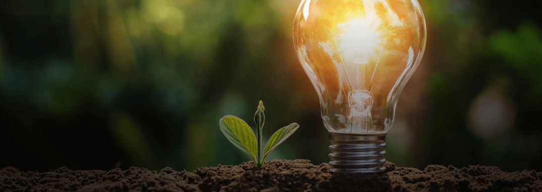 Sustainability banner